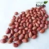 Groundnuts importers