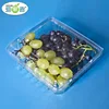 Manufacturer Fruit Plastic Packaging Container Fruit Packaging Tray Fruit Clamshell for 1Kg Grapes