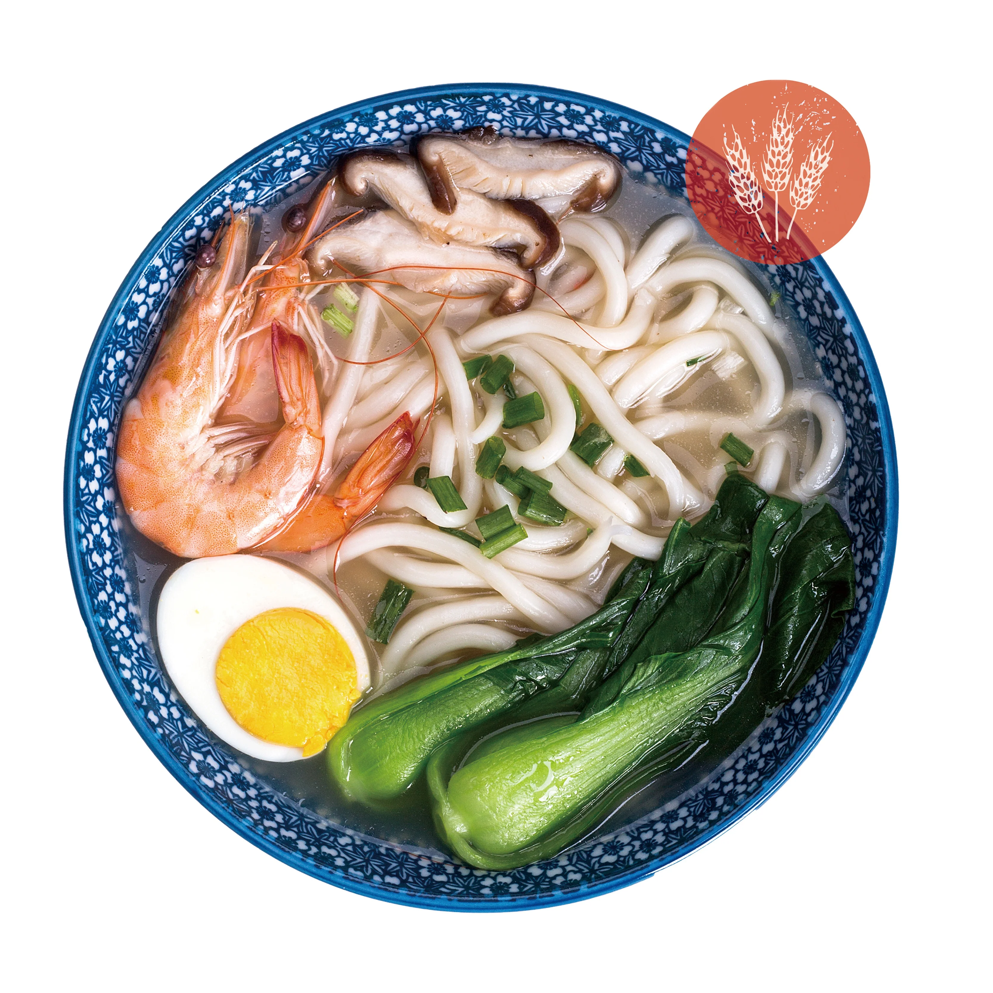 Wholesale Japanese Frozen Udon Noodles Buy Frozen Udon Noodle,Frozen