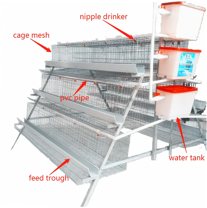 Chicken Cage/chicken Cage Factory Design Layer Cage For Chicken Farm Buy Good Price Automatic