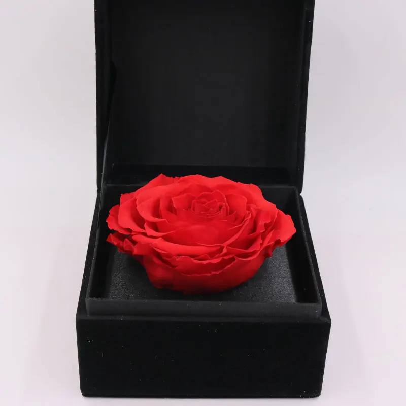 Ecuador Eternal Rose Luxury Gift 10cm Preserved Rose In Velvet Box