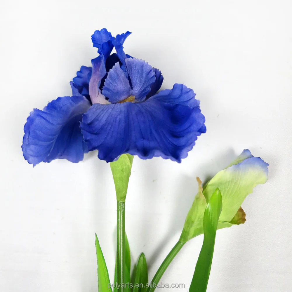 36 buatan Biru Iris  Bunga  Taman Bunga  Biru Bunga  Biru 