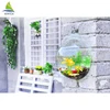 /product-detail/high-grade-factory-wholesale-clear-wall-mounted-acrylic-aquarium-60531833900.html