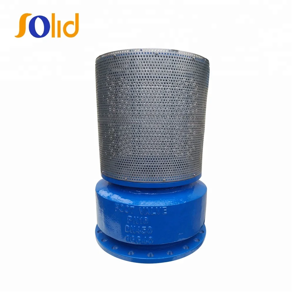 High Quality PN10/16 Ductile Iron GGG50 Flanged Foot Valve with Stainless Steel Strainer