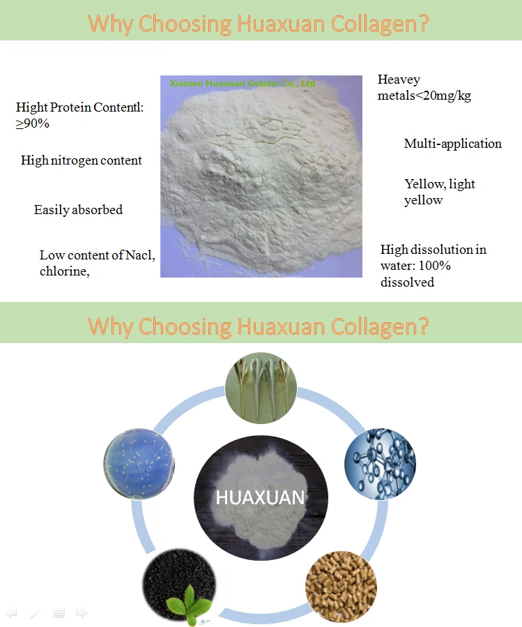 industrial collagen2.png