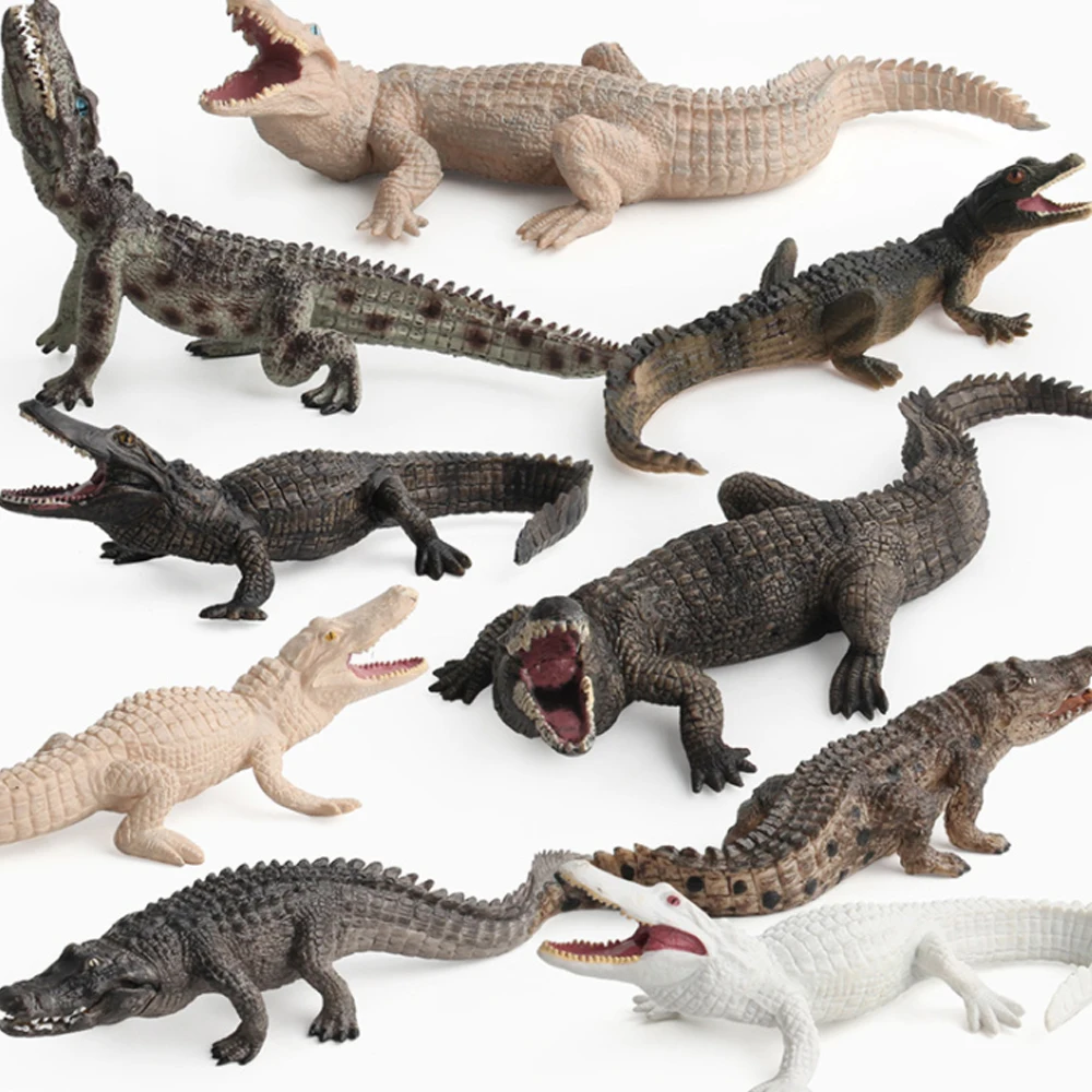 
Wild Animal Model Crocodile Plastic Toys Animals Figures 