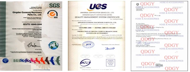 certificate.png