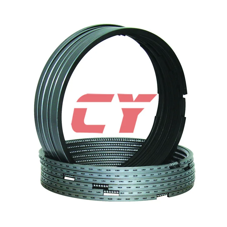 D2366-02Piston Ring.jpg