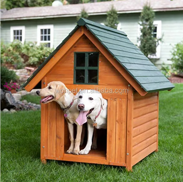 insulated outdoor dog kennel