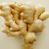 Indonesian fresh ginger