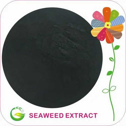 ALGA POWDER