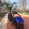 China Supplier Factory Directly 2 Seat Mobility Scooter Citycoco Citycoco 2 Wheel Electric Scooter