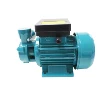 DB-125 Excellent Performance 100% Copper Wire High Quality Surface Clean Water Pump