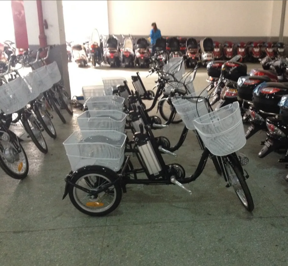 36v 20inch Brushless Motor Indian Tricycle/three Wheel Electric