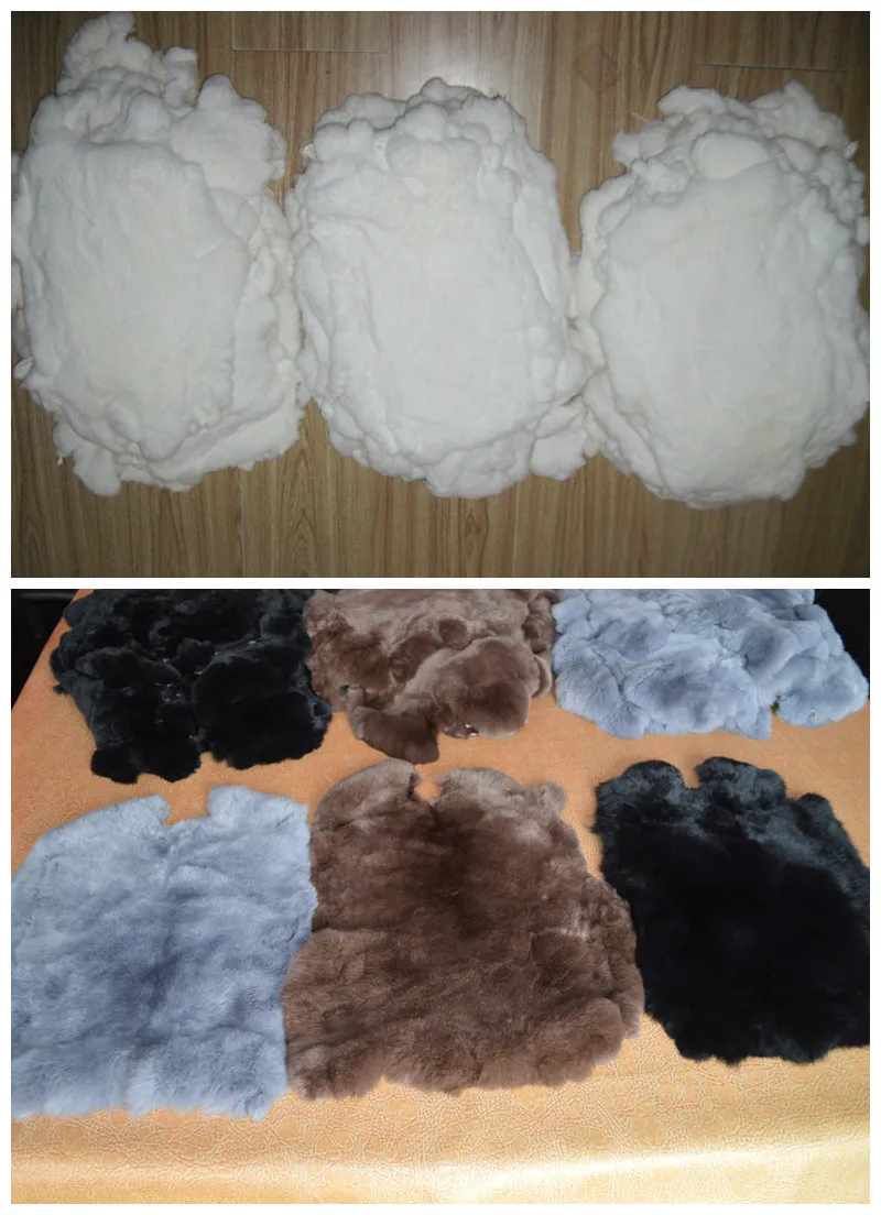 rex rabbit fur palte (148).jpg