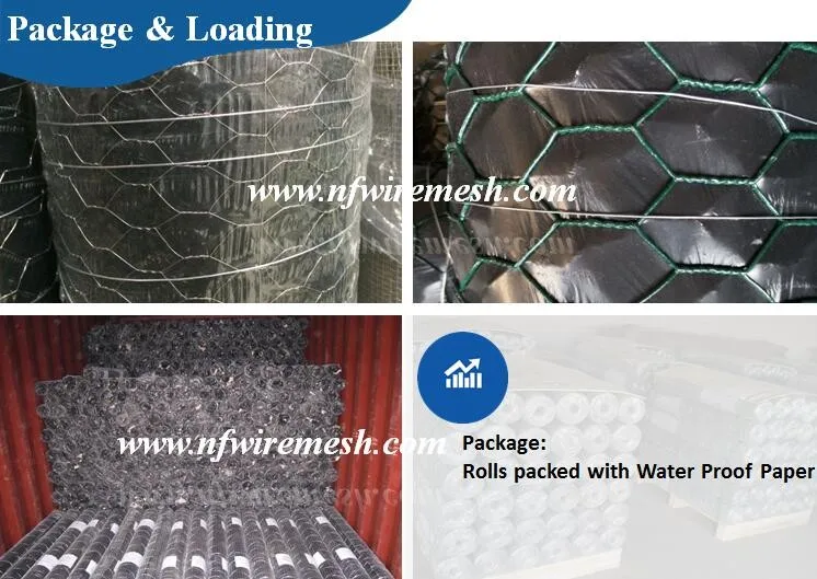 Galvanised Poultry Wire Mesh/fish Pot Wire/galvanized Net(guangzhou Factory) Buy Chicken Wire