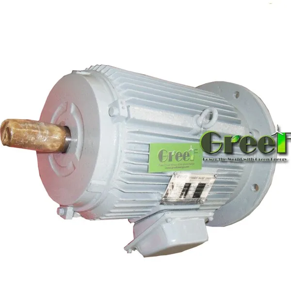 220V 1500W/1300W/800W AC Brushless Generator Small Permanent Magnet for  Lighting 
