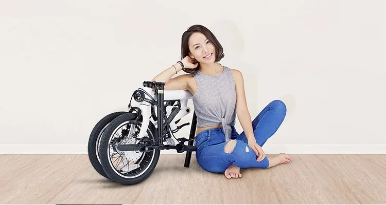 xiaomi qicycle bike