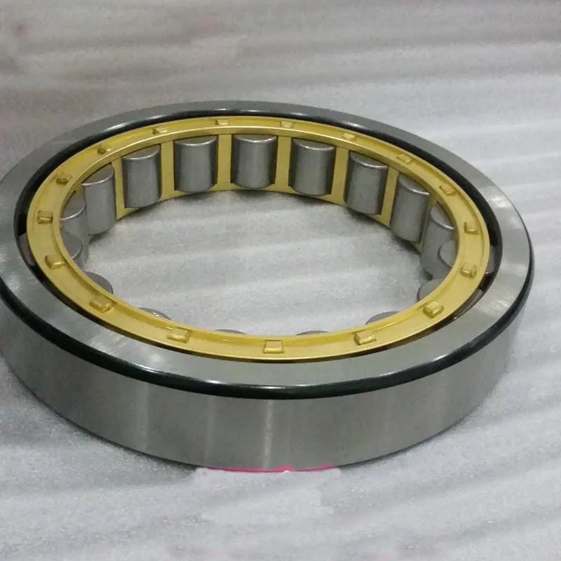 55x85x19 圆柱滚子轴承 rnu209