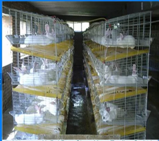 Rabbit Cage For Farm - Buy Commercial Rabbit Cages,Cheap Rabbit Cages ...