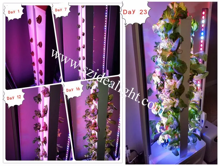 Wholesale Greenhouse Indoor Medical Plants Cp200 High Power 45w Full