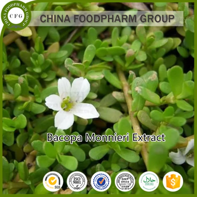 bacopa monnieri extract