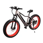 OEM fabrika toptan egzersiz bisikleti chopper motor karbon fiber yol dağ yağ e 125cc 250cc elektrikli kir bisiklet