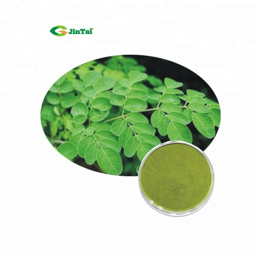 moringa leaf powder