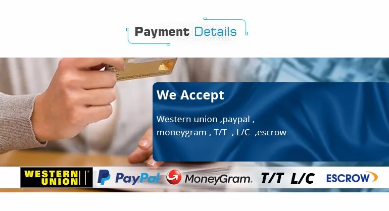 10 payment detail.jpg