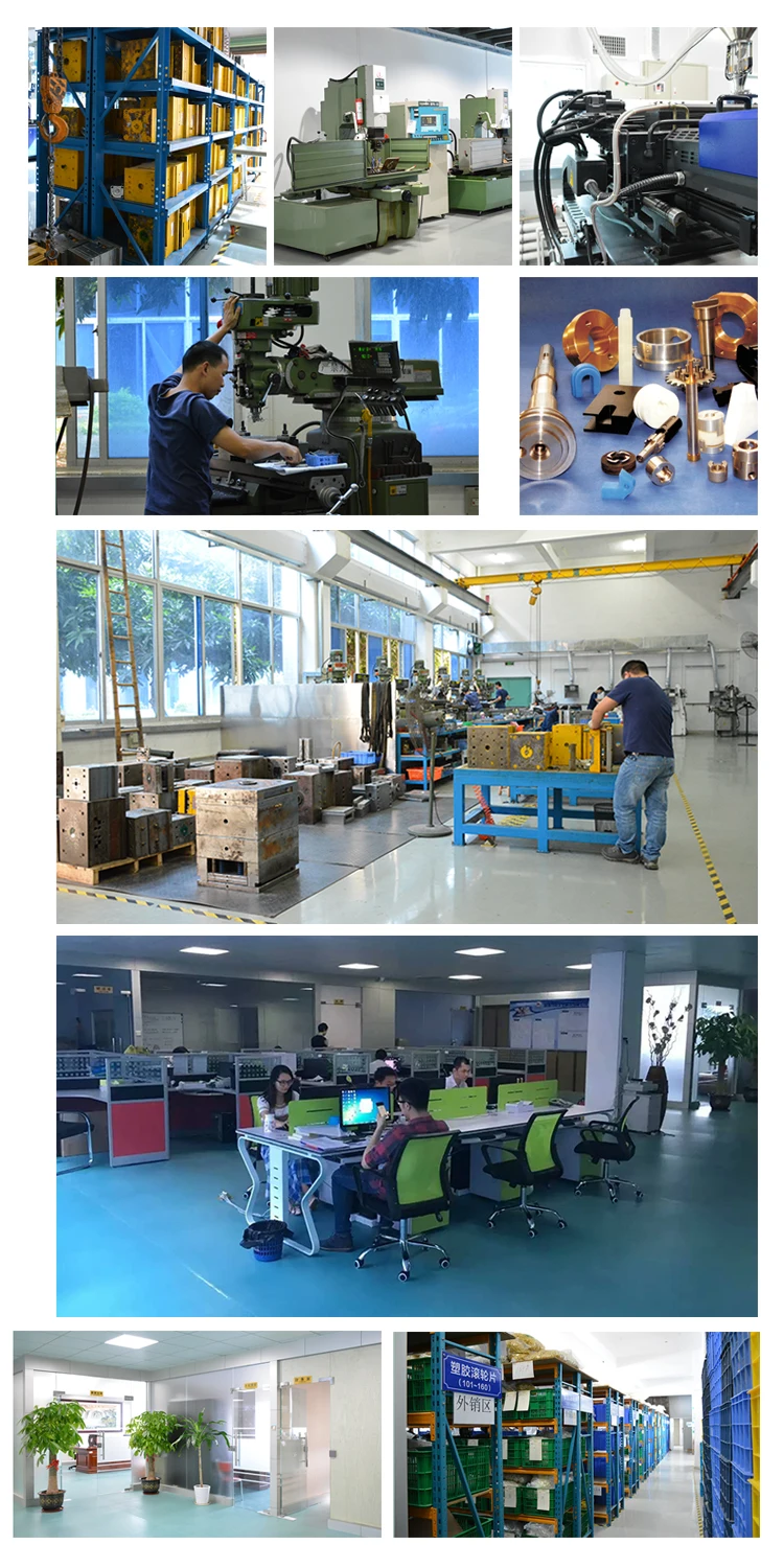 company informtion.jpg