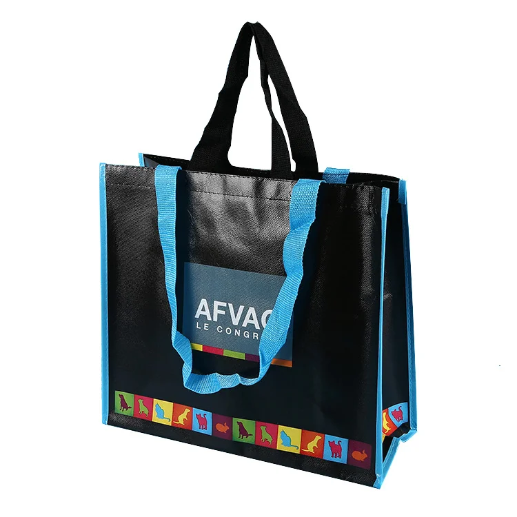 pp non woven shopping bag