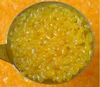 Bag sac design mandarin orange sac canned food list