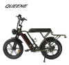 QUEENE/2019 new model 48V 500W 750W 1000W aluminum alloy frame super power electric bike