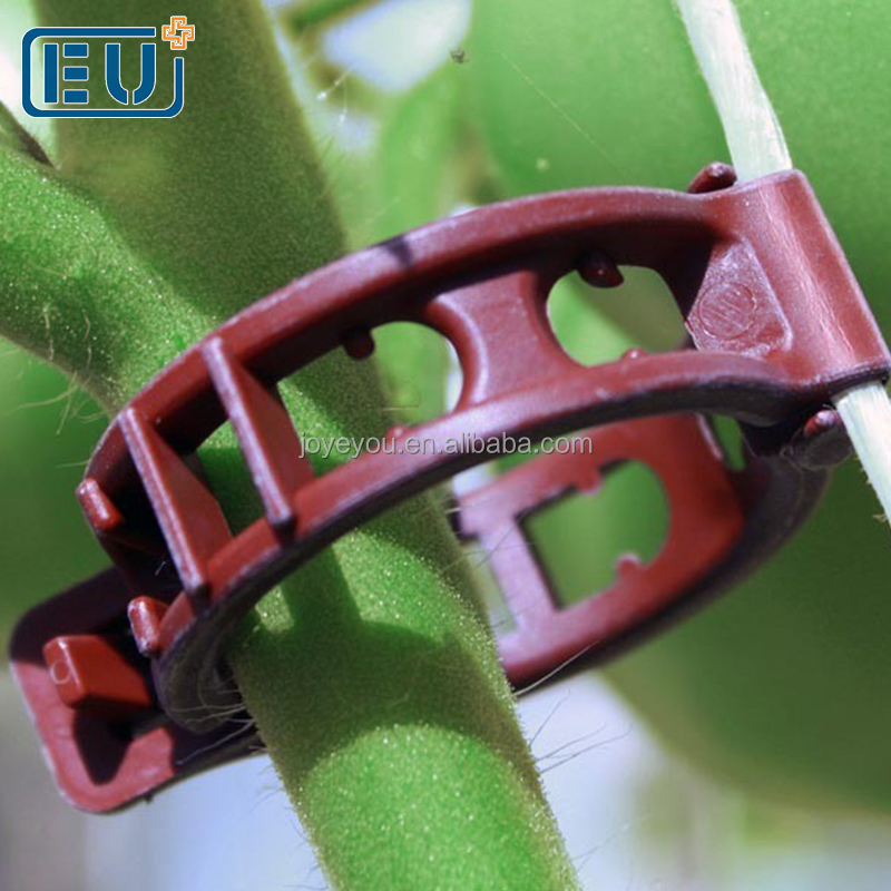 China Newest High Quality Plastic Grafting Vine Tomato Clip for tomato with High Quality