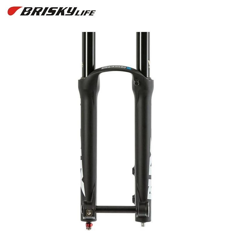 double suspension fork