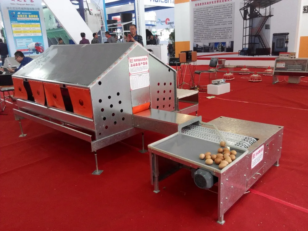 automatic egg collecting system.jpg