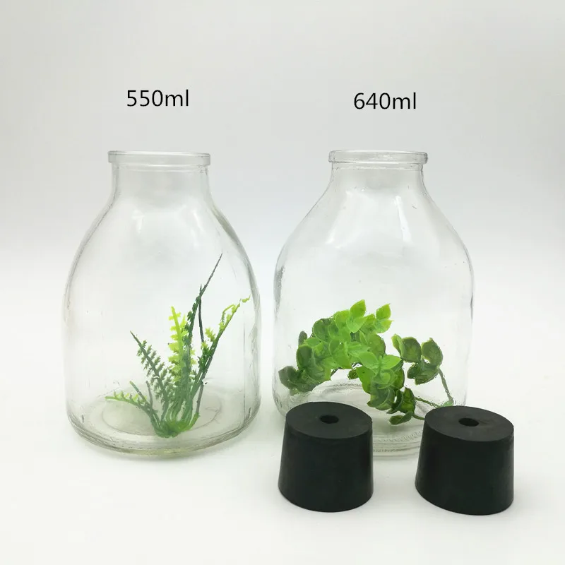 240ml 350ml Tissue Culture Water Plant Glass Jar With Pp Plastic Lid