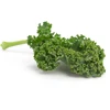 /product-detail/2019-new-arrival-vegetables-hybrid-seeds-of-kale-seed-for-growing-60826465188.html