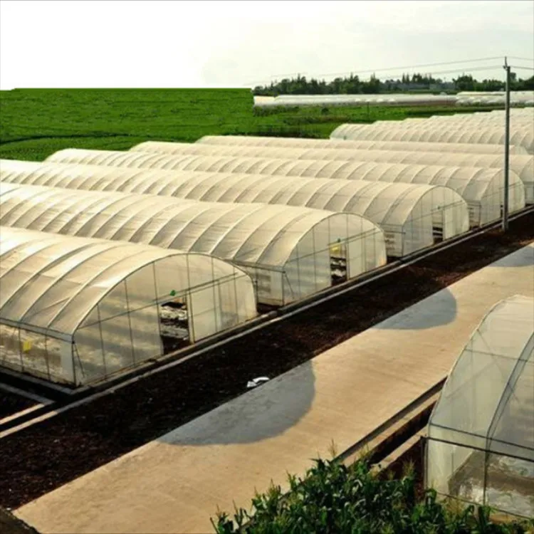 Large Size High Tunnel Greenhouse Used For Sale Buy Greenhouse