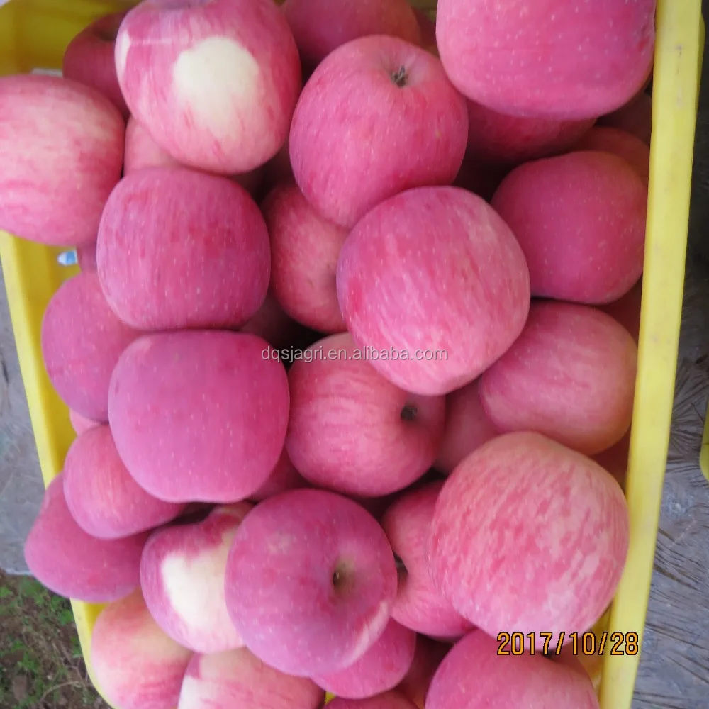 Fresh Apples Fuji 3 Lb – Halalcart