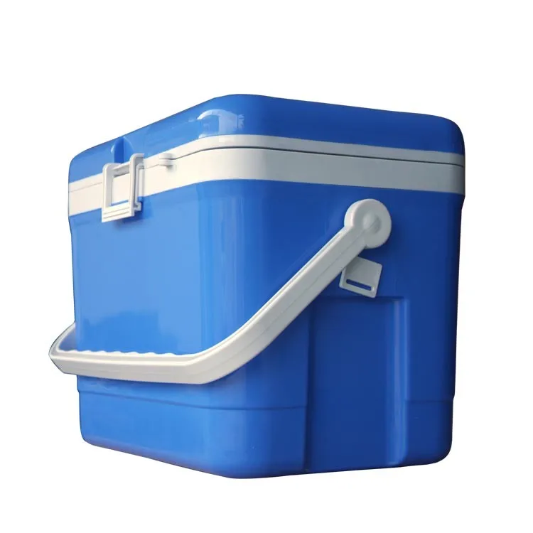 mini insulated cooler