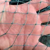 China factory cheap price hdpe knotted bird protection netting for vineyard