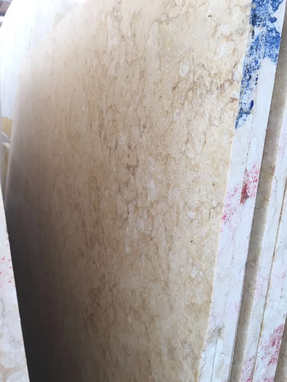 Egyptian Yellow Quality Inspecting 2.jpg