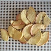 Low Temperature Vacuum Fried Fruit & Vegetable Chips-Apple slices for sale