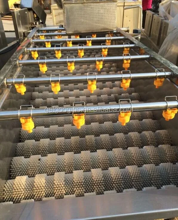 1000KG/H Fruit and Vegetable Washing Machine - Dates Line