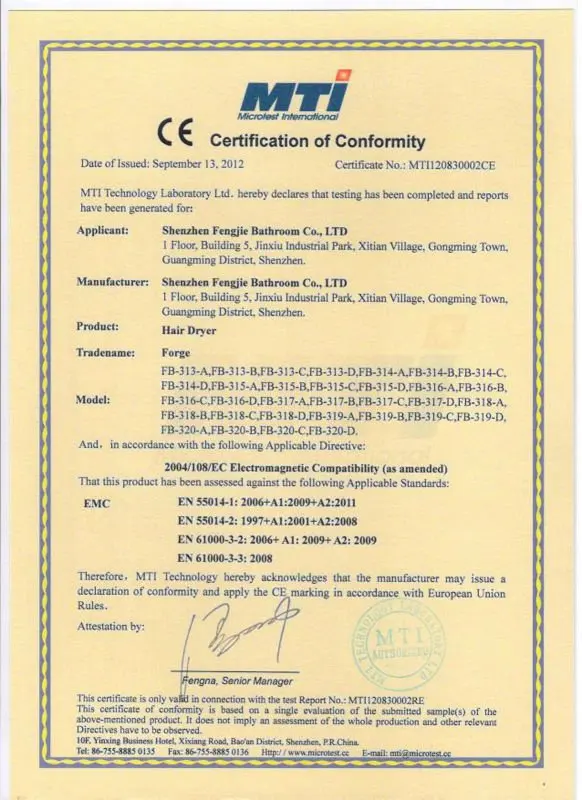 Fengjie hair dryerCE-1