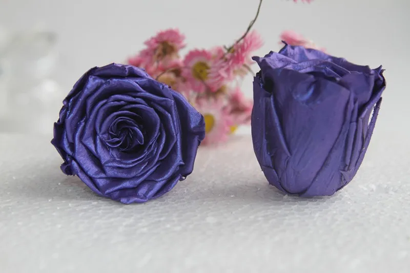 preserved roses that lasts for a year