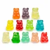 gummy bear candy animal gummy candy fish shaped candy