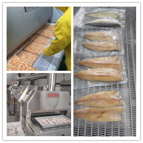 500kg IQF Liquid Nitrogen Tunnel Freezer