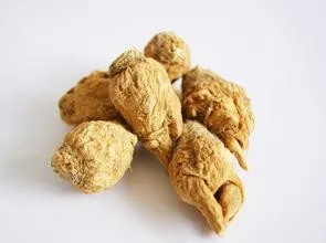 maca 01.jpg